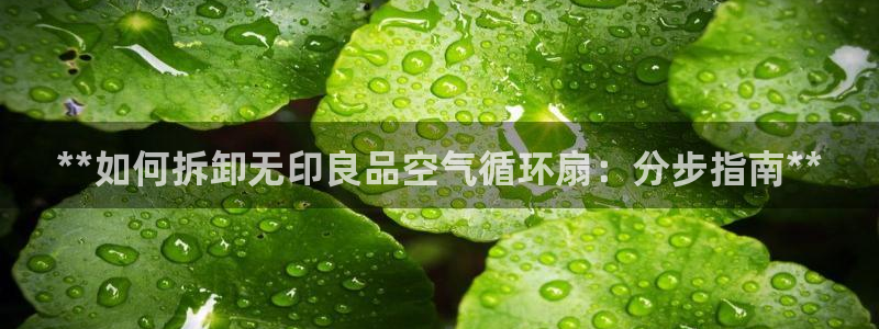 凯发k8官网so选来就送38：**如何拆卸无印良品空气循环扇：分步指南**