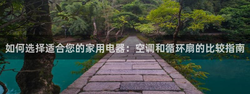 凯发k8国际官网可靠吗：如何选择适合您的家用电器：空调和循环扇的比较指南