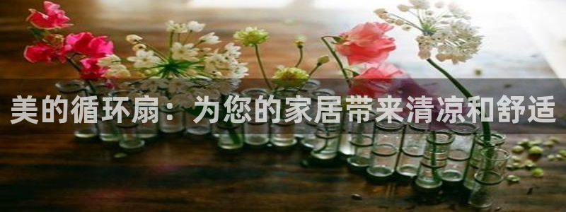 凯发k8娱乐平台网址：美的循环扇：为您的家居带来清凉和舒适