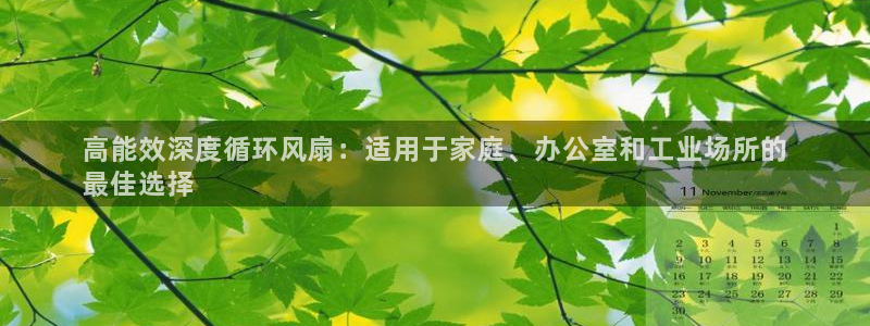 凯发k8娱乐|k808.vip：高能效深度循环风扇：适用于家庭、办公室和工业场所的
最佳选择