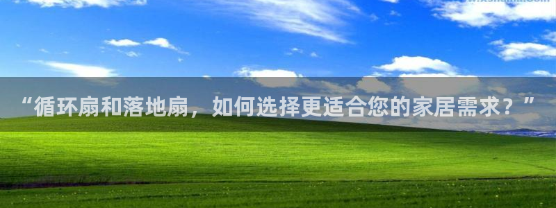 凯发官网手机app：“循环扇和落地扇，如何选择更适合您的家居需求？”