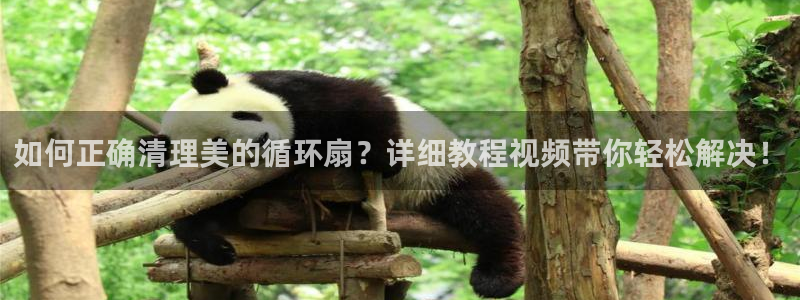 凯发k873：如何正确清理美的循环扇？详细教程视频带你轻松解决！