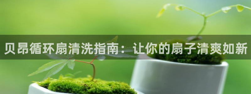 凯发是什么意思：贝昂循环扇清洗指南：让你的扇子清爽如新