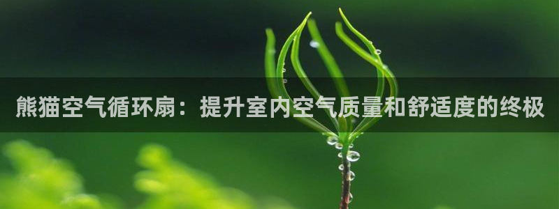 凯发k8官方旗舰店app：熊猫空气循环扇：提升室内空气质量和舒适度的终极