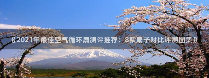 凯发国际网址官网查询：《2021年最佳空气循环扇测评推荐：8款扇子对比评测图集》