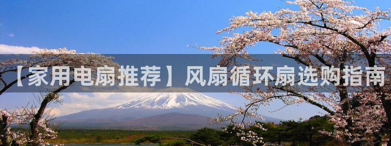 凯发在线官网登录下载：【家用电扇推荐】风扇循环扇选购指南