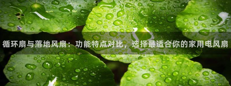 凯发官网地址：循环扇与落地风扇：功能特点对比，选择最适合你的家用电风扇
