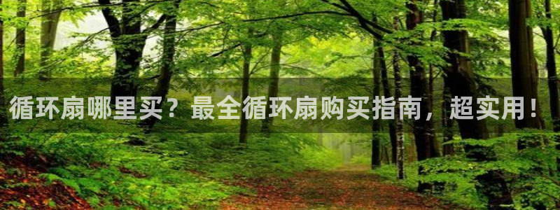 凯发k8国际注册：循环扇哪里买？最全循环扇购买指南，超实用！