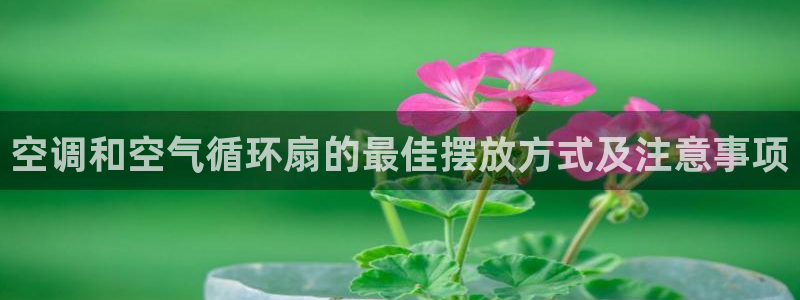 凯发k8官网so选来就送38：空调和空气循环扇的最佳摆放方式及注意事项