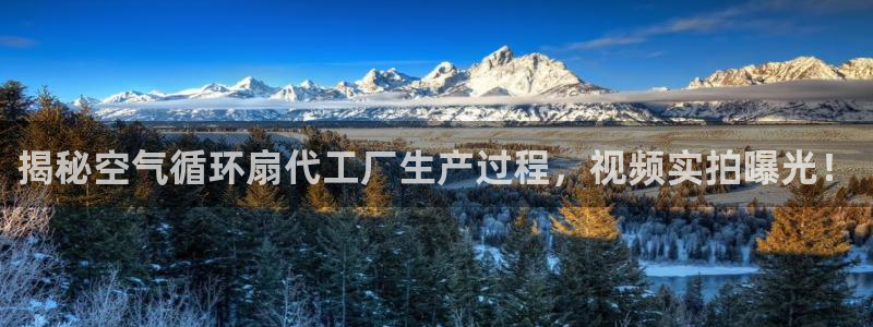 凯发k8娱乐|k808.vip：揭秘空气循环扇代工厂生产过程，视频实拍曝光！