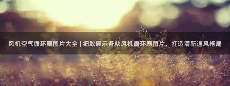 凯发国际网址官网首页：风机空气循环扇图片大全 | 细致展示各款风机循环扇图片，打造清新通风格局