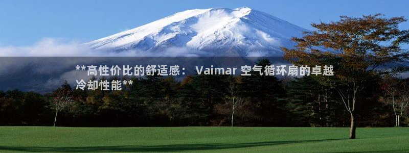 凯发k8娱乐网址多少：**高性价比的舒适感： Vaimar 空气循环扇的卓越
冷却性能**