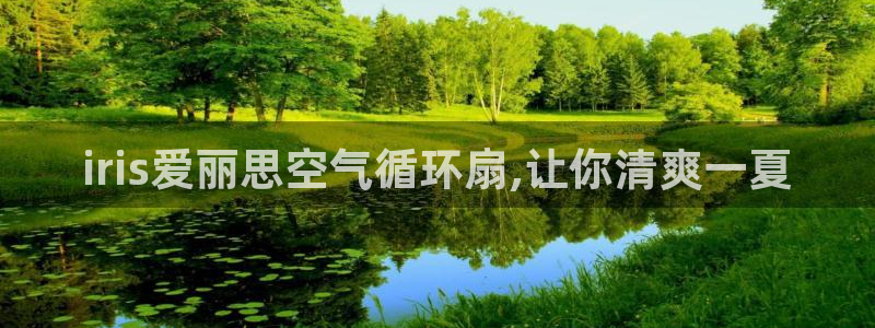 凯发网址多少：iris爱丽思空气循环扇,让你清爽一夏
