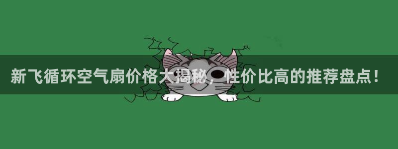 凯发k8娱乐官网入：新飞循环空气扇价格大揭秘，性价比高的推荐盘点！