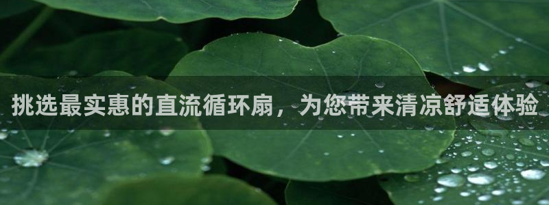 凯发网址多少：挑选最实惠的直流循环扇，为您带来清凉舒适体验