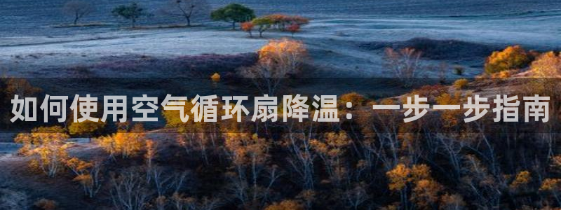 凯发网址多少：如何使用空气循环扇降温：一步一步指南
