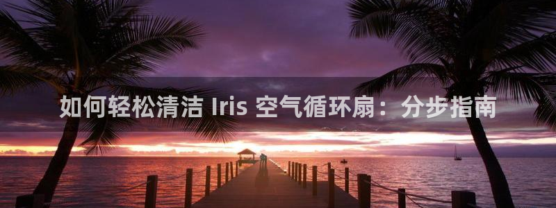 凯发国际平台登录：如何轻松清洁 Iris 空气循环扇：分步指南