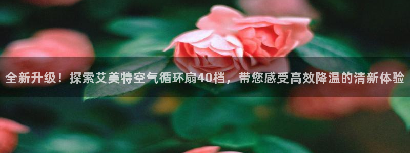 凯发app是干嘛的：全新升级！探索艾美特空气循环扇40档，带您感受高效降温的清新体验